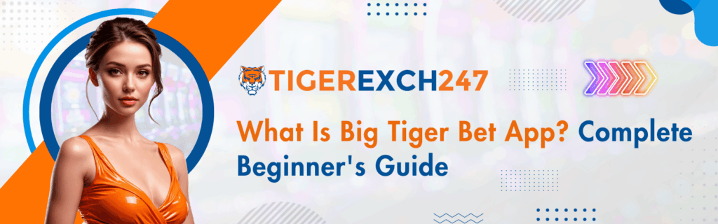 What Is Big Tiger Bet App